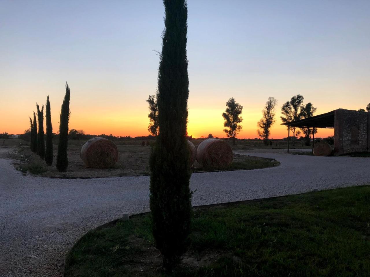 Bauernhof Fattoria L'olmetto *