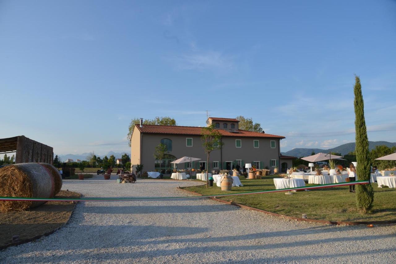 Bauernhof Fattoria L'olmetto