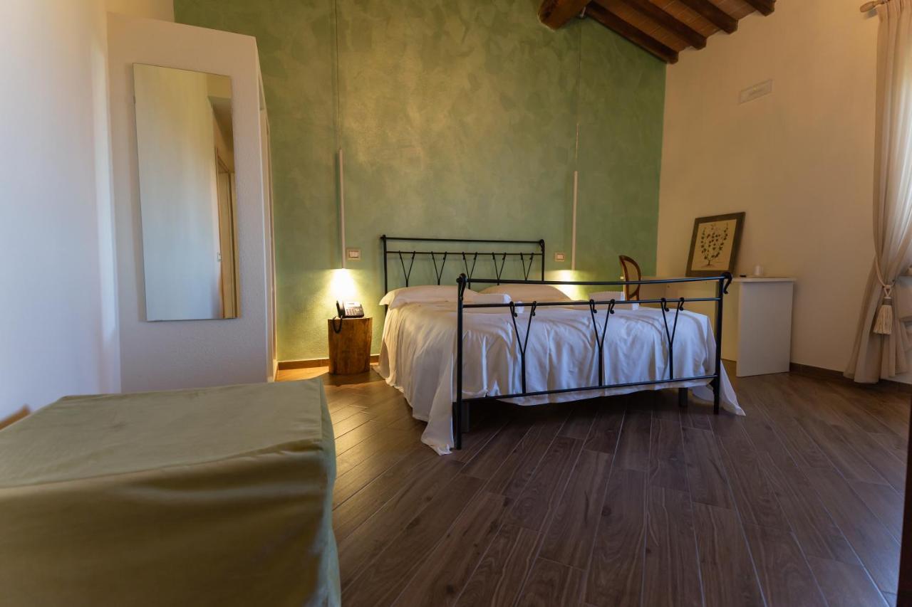 Fattoria L'olmetto Bauernhof *