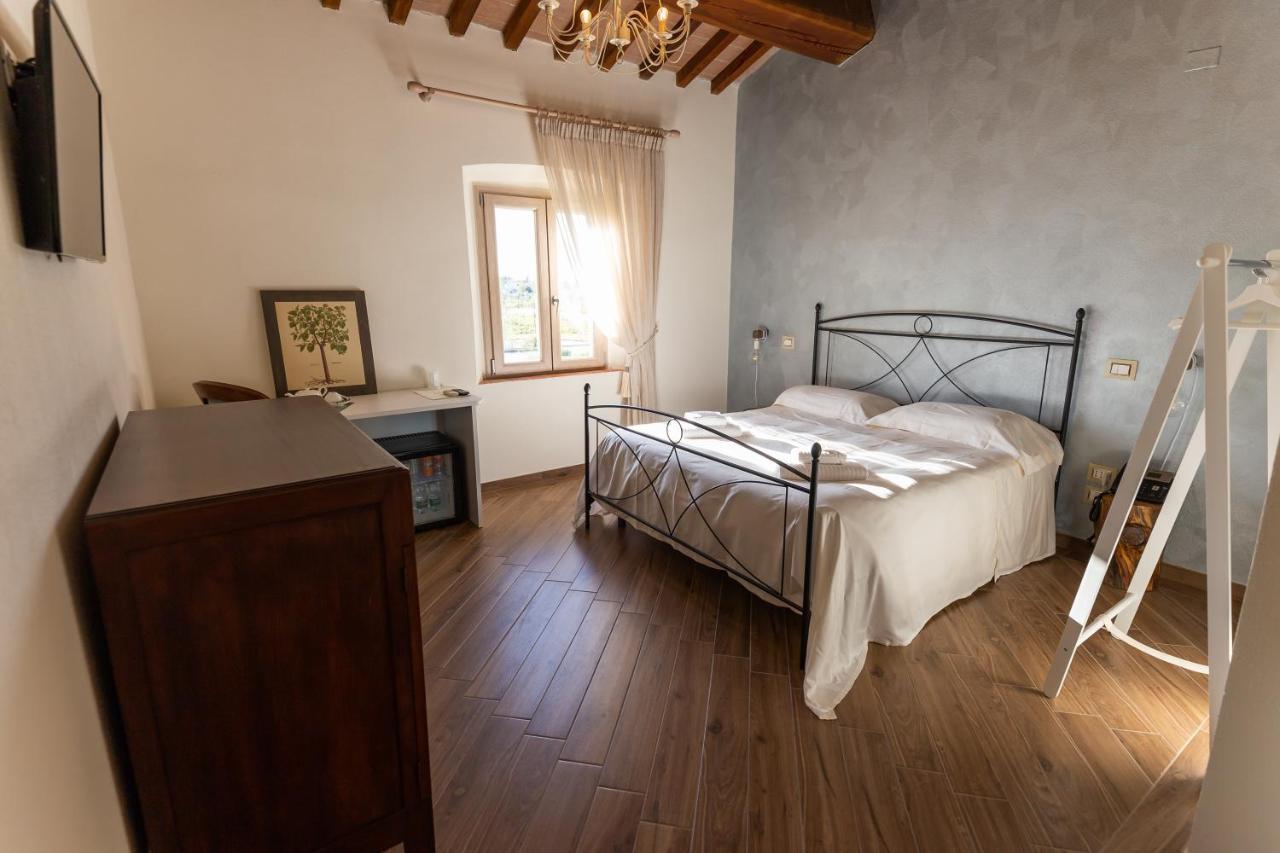 Fattoria L'olmetto Alloggio per agriturismo Pisa