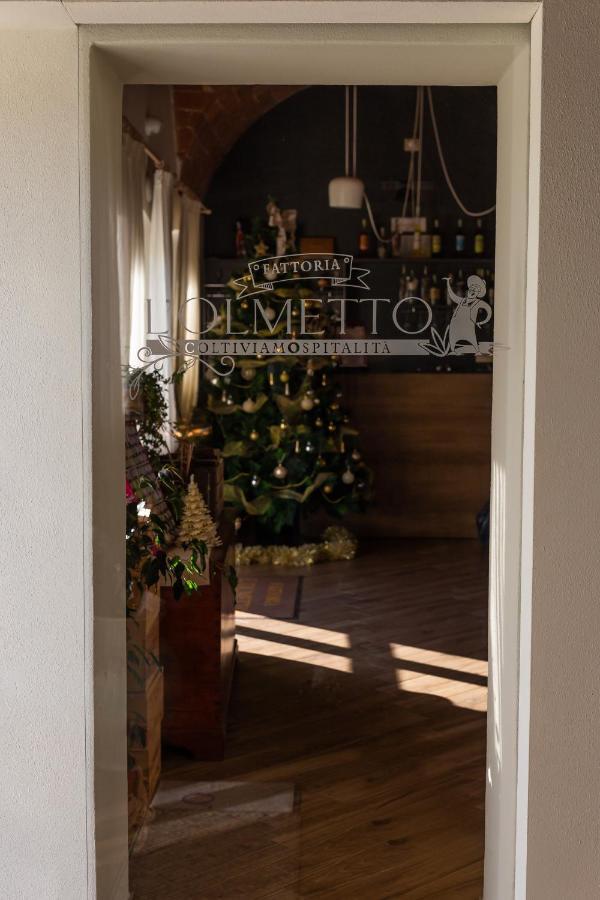 Alloggio per agriturismo Fattoria L'olmetto